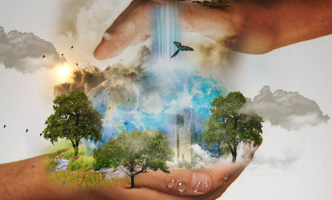 Al ritmo de la energía: Medio Ambiente sostenible