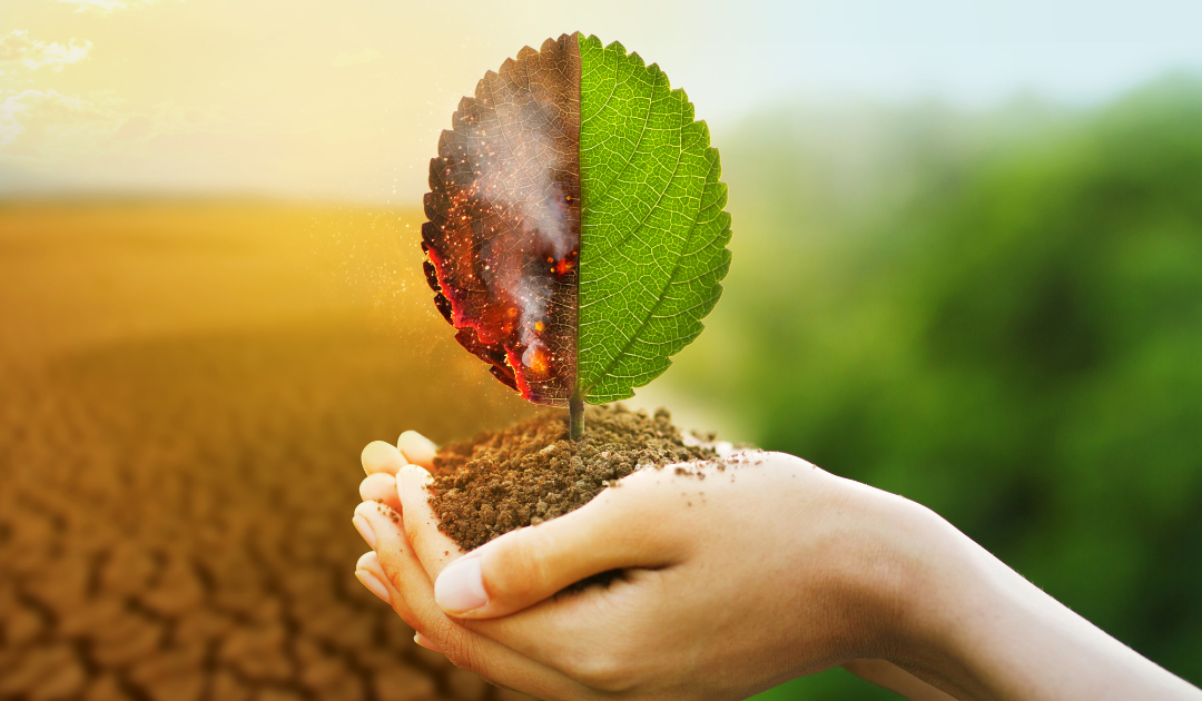 En la encrucijada de la crisis ambiental
