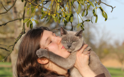 Biodiversidad: Nuestros amigos inseparables de vida
